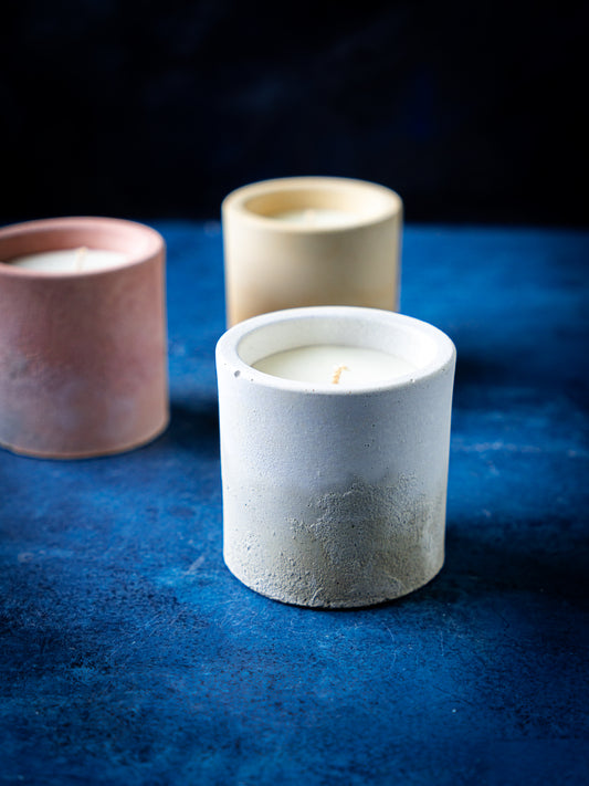 Cedar Bloom Signature Scent - The Wind Shore Candle Capsule