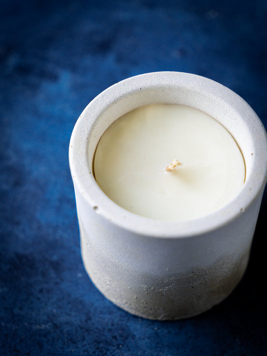 Cedar Bloom Signature Scent - The Wind Shore Candle Capsule